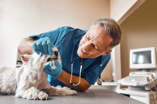 Best Emergency Tooth Extraction in Stratford, TX